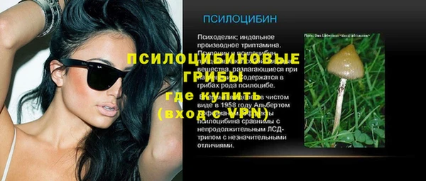 стафф Аркадак