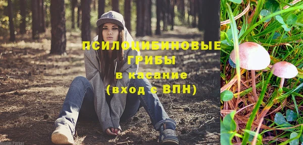 первитин Арсеньев