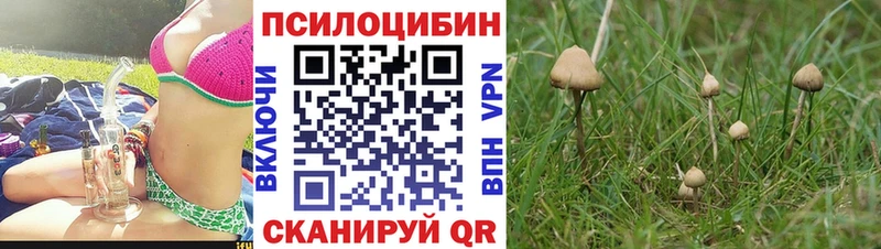 Галлюциногенные грибы Cubensis  где купить наркоту  Рузаевка 